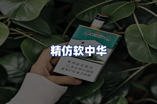 精仿软中华